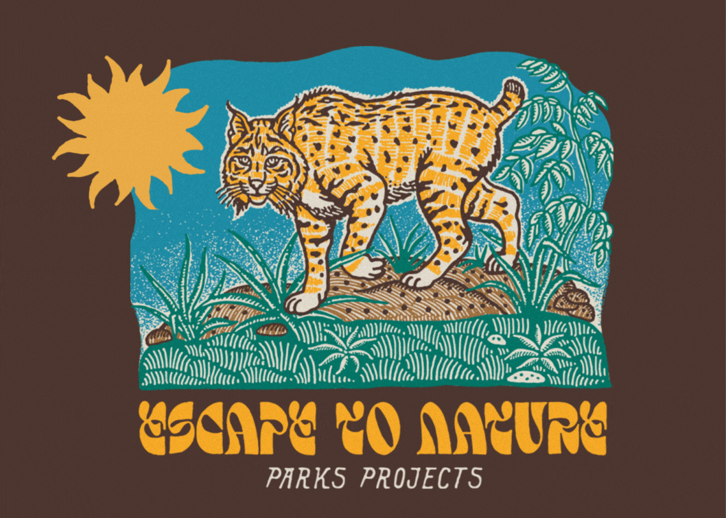 PARKS PROJECT gallery image 7